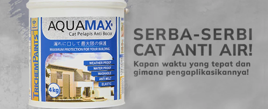 Serba-Serbi Cat Anti Air!